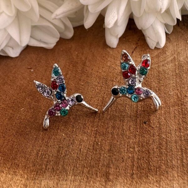 Aros Colibri multicolor
