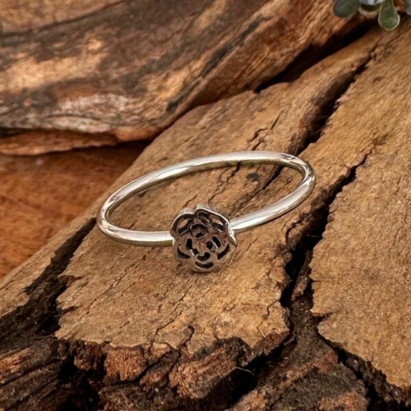 Anillo Rosa