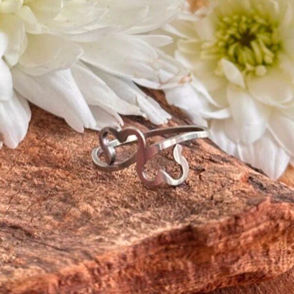 Anillo Doble cor piquito